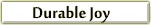 Durable Joy Book